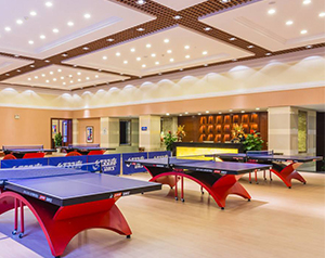 乒乓球場(chǎng)所