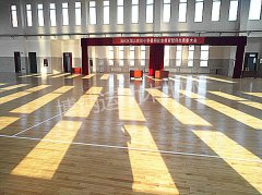 山東沾化第三小學(xué)體育活動中心單龍