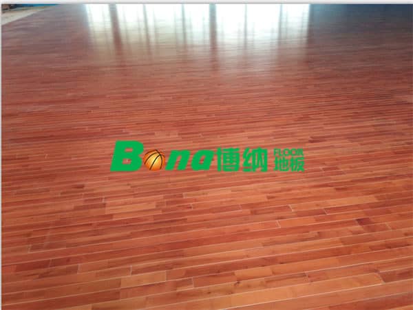 廣東臺山市郎城汽車城案例